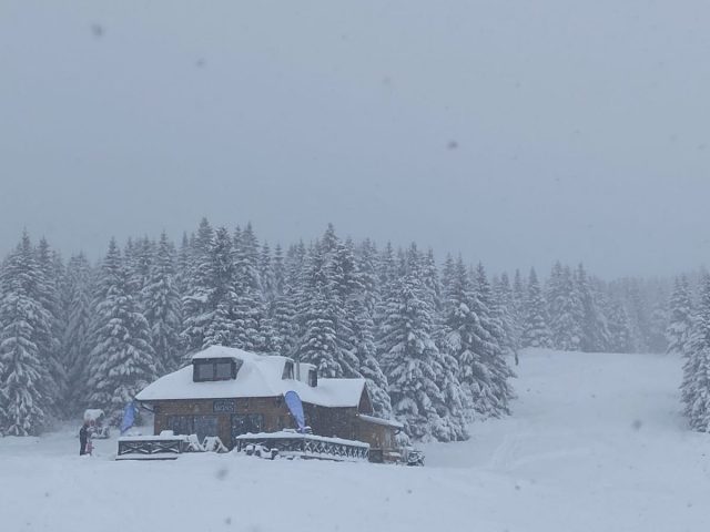 Ovog jutra na Kopaoniku – sneg!